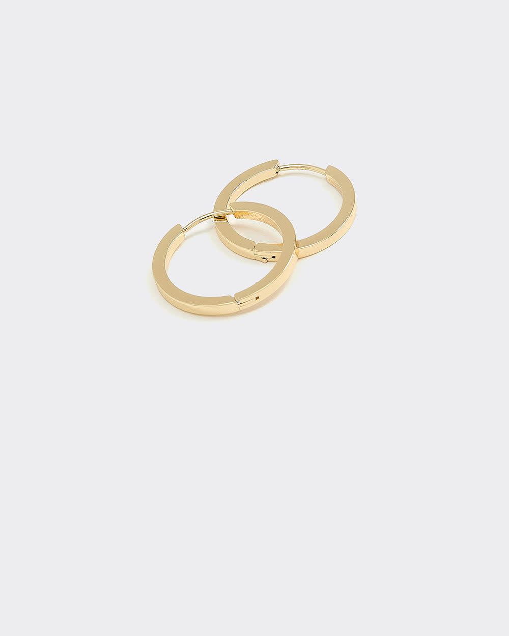 Stainless Steel Hoops - Image 3