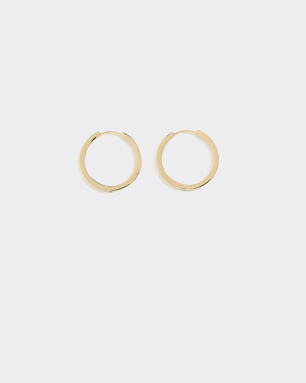 Stainless Steel Hoops - Image 4